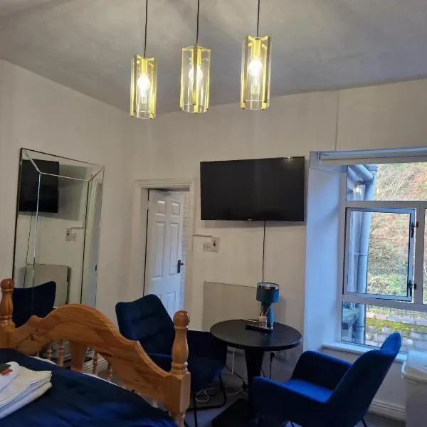 Cosy Cork Studio - cosyincork，位于科克的酒店
