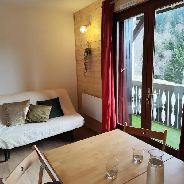 Milky Way - Appartement en bas des pistes du Mourtis，位于Boutx的酒店
