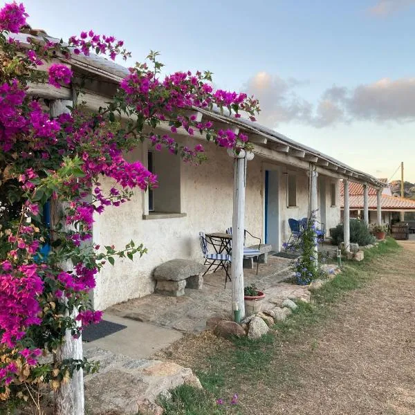 Agriturismo La Tana di Lu Maccioni，位于圣特雷莎加卢拉的酒店