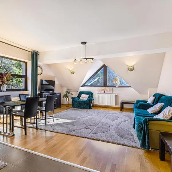 Ski View Apartment Predeal，位于普雷代亚尔的酒店