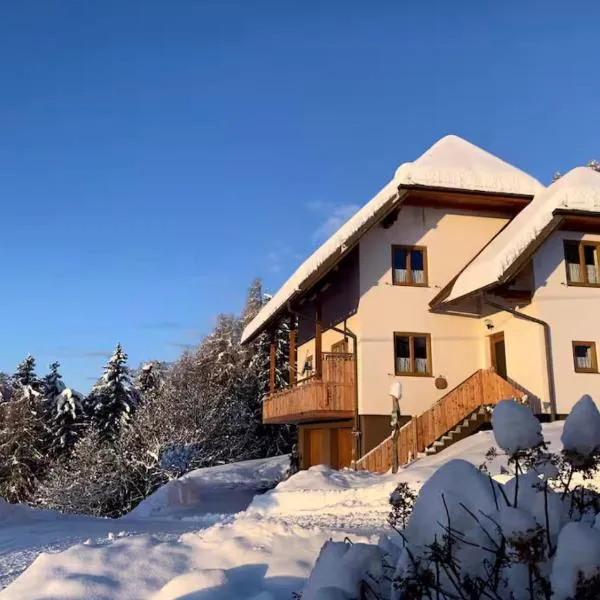 Ferienwohnungen Berger im zweiten Stock，位于穆劳的酒店