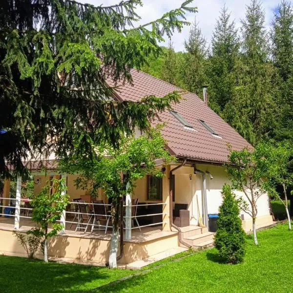 Casa Aris Lepsa Vrancea，位于莱普沙的酒店