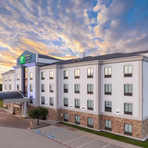 Holiday Inn Express & Suites - Denton North by IHG，位于丹顿的酒店