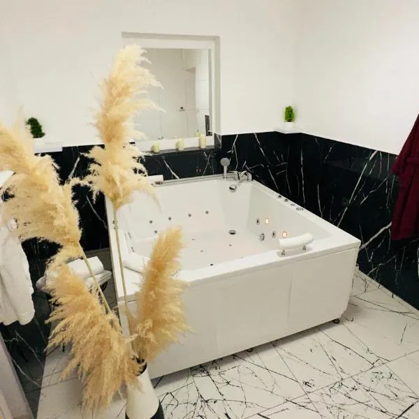 Hedonist Spa Jacuzzi Sarajevo Free parking，位于萨拉热窝的酒店