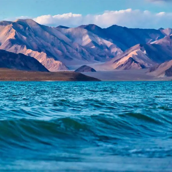 Astro Retreat - Pangong，位于Man的酒店