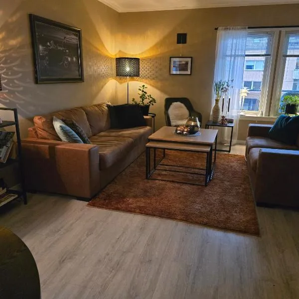 Koselig og moderne leilighet, meget sentralt i Narvik med gratis parkering!，位于纳尔维克的酒店
