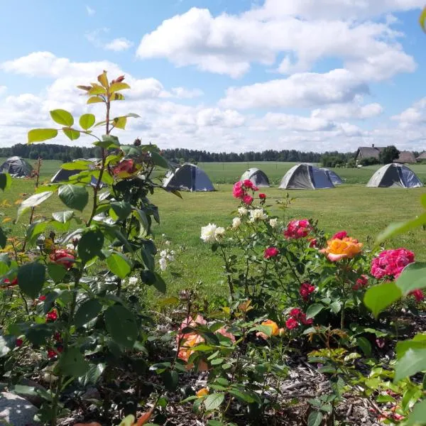 Elen Camping,位于Goliševa的酒店