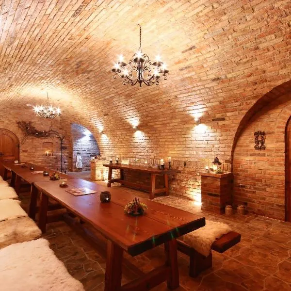Penzion Vinařství Červinka，位于霍尔尼维斯特尼采的酒店