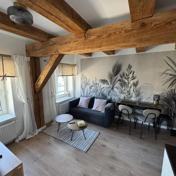 Apartament Centro 9，位于莱什诺的酒店