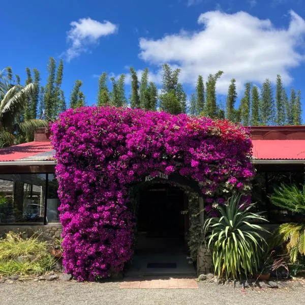 阿希派拉假日公园酒店，位于Ahipara的酒店