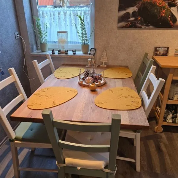 Tenneberger Wohnung 2，位于伊尔森堡的酒店