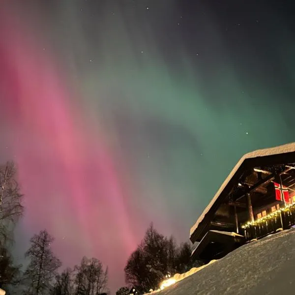 Roalden Mountain Lodge，位于斯特兰达的酒店