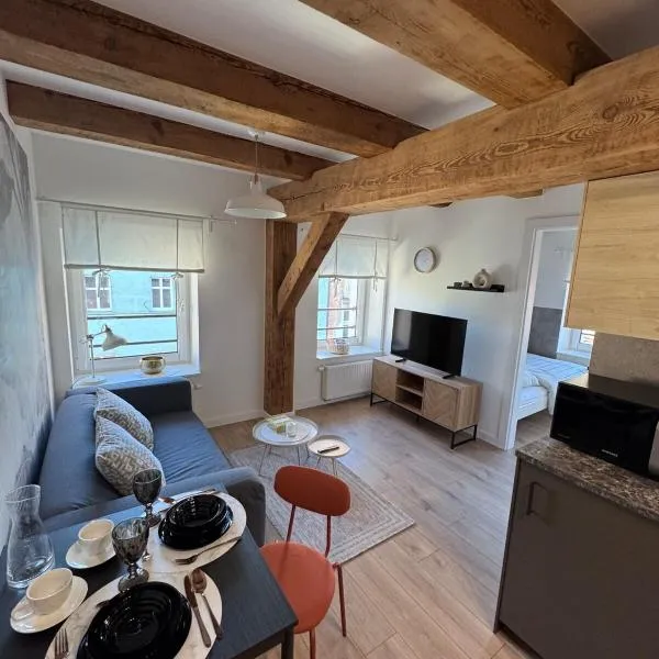 Apartament Centro 10，位于莱什诺的酒店