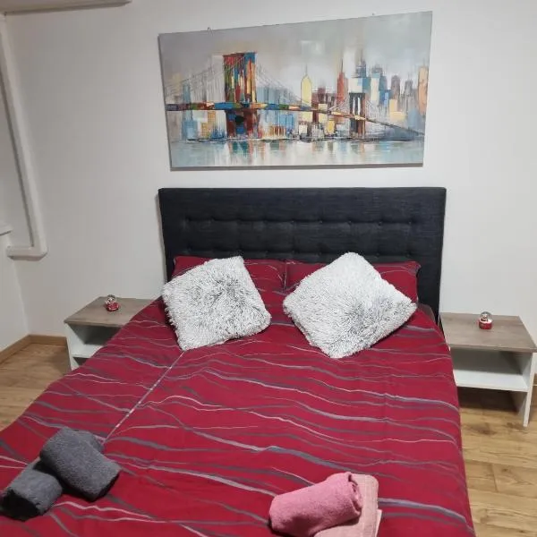 Studio Apartman Bojana 34m2,free wifi,parking，位于锡萨克的酒店