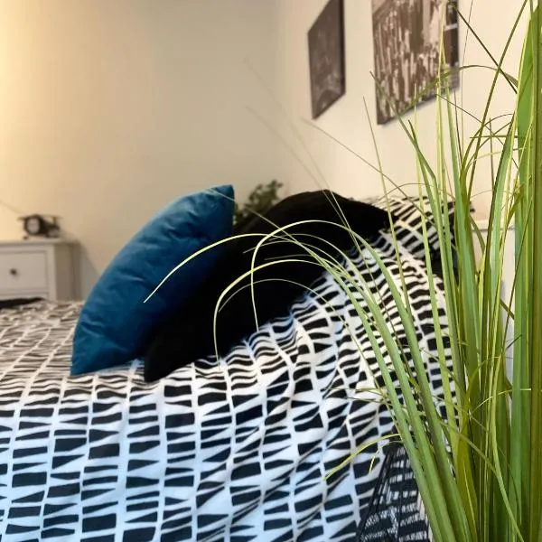 Studio Chaleureux Tout équipé - Wifi - Parking gratuit - Proche de la Nature，位于维桑堡的酒店