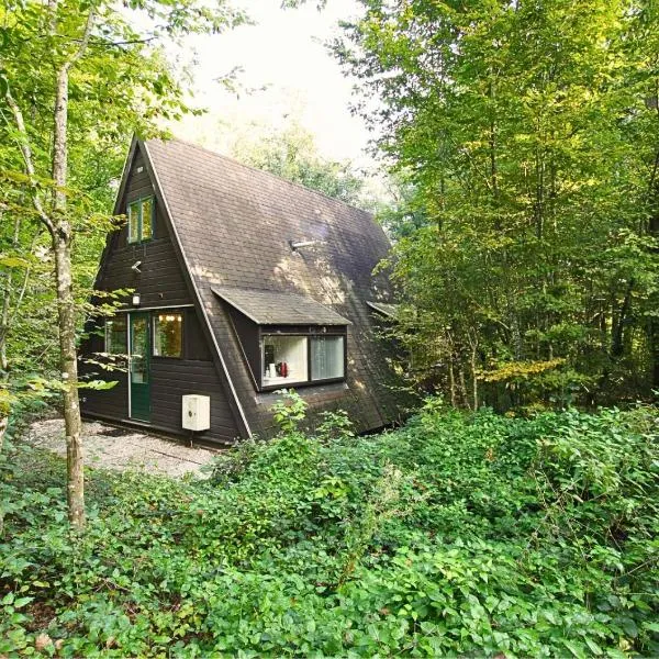 Bosmuis Ardennen, Genieten in de bossen in chalet 226，位于杜柏的酒店