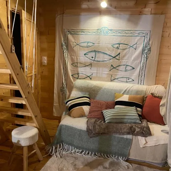 Maison en bois 1 chambre 4 couchages type tiny house，位于格朗维尔的酒店