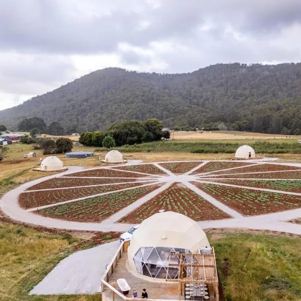 Mount Gnomon Farm，位于彭古因的酒店