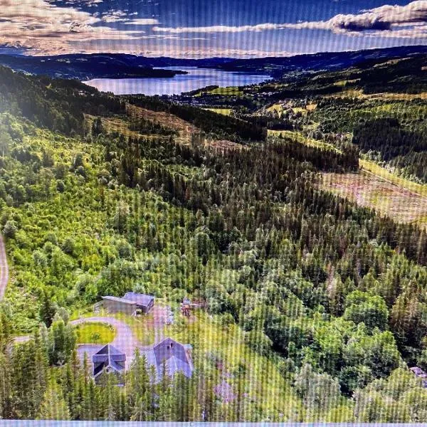 FrysiaHouse，位于利勒哈默尔的酒店