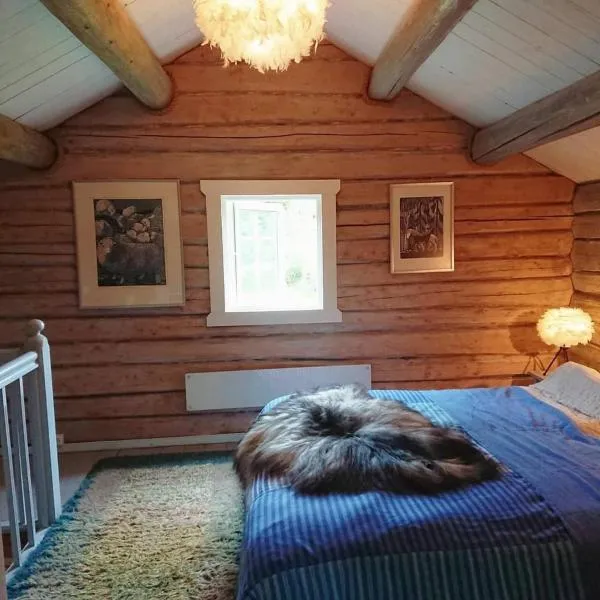 Cozy Cabin Retreat in Scenic Valley, E6 south of Trondheim，位于Støren的酒店