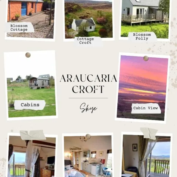 Araucaria Croft Skye，位于邓韦根的酒店