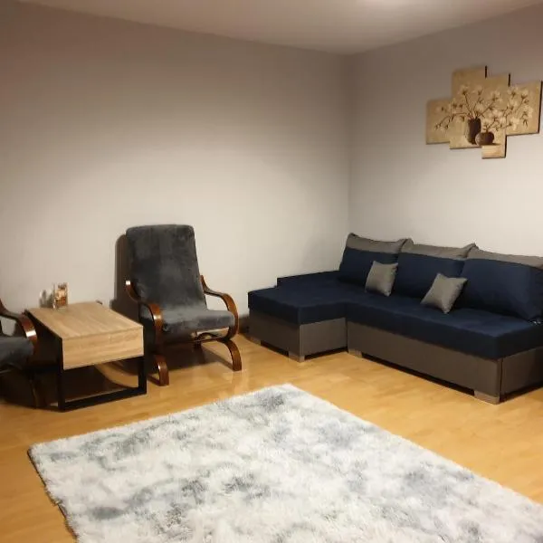 Przestronna kawalerka pod Łodzią，位于罗兹地区亚历山德鲁夫的酒店