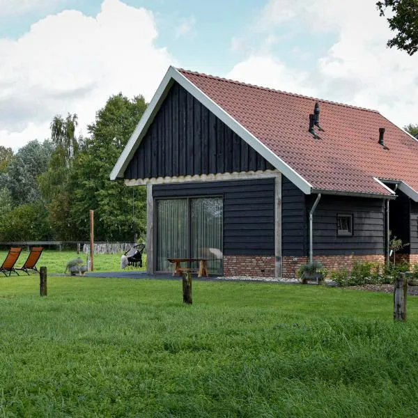 Knusse loft de Hooizolder，位于Daarle的酒店