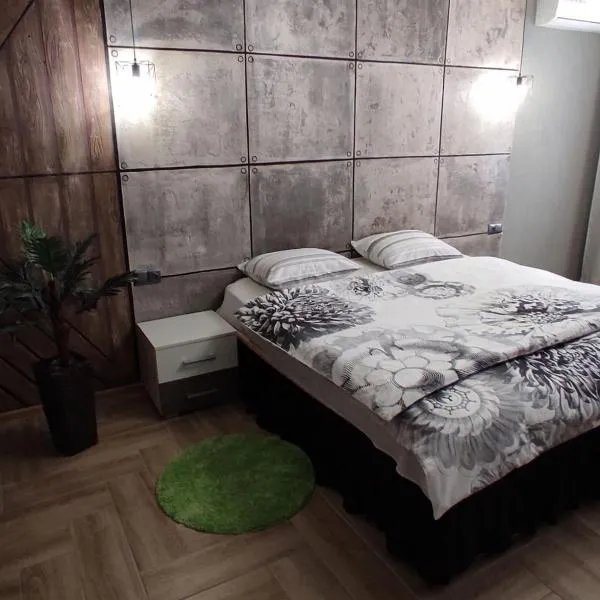 Loft Centr，位于蒂拉斯波尔的酒店
