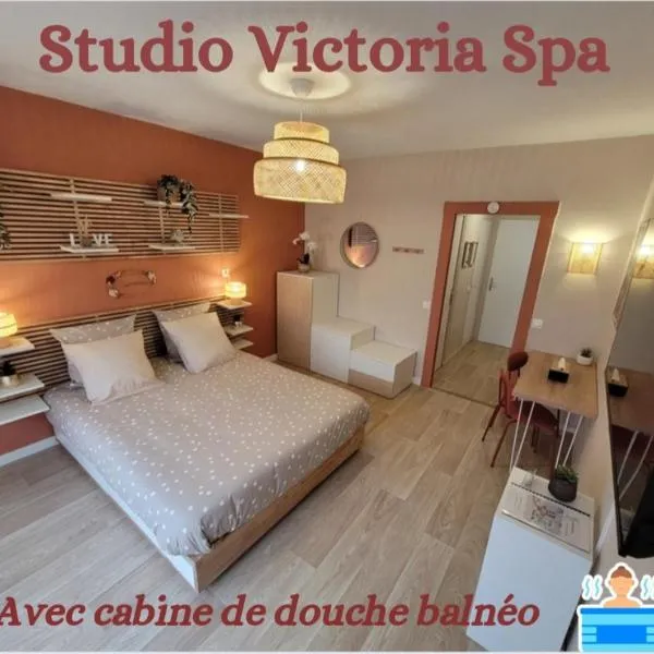 Studio Victoria SPA, au coeur du centre-ville，位于艾克斯莱班的酒店