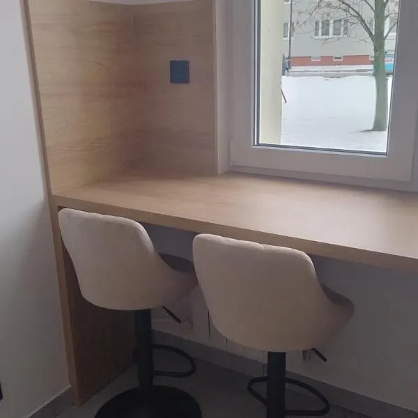 apartament，位于马佐夫舍地区托马舒夫的酒店