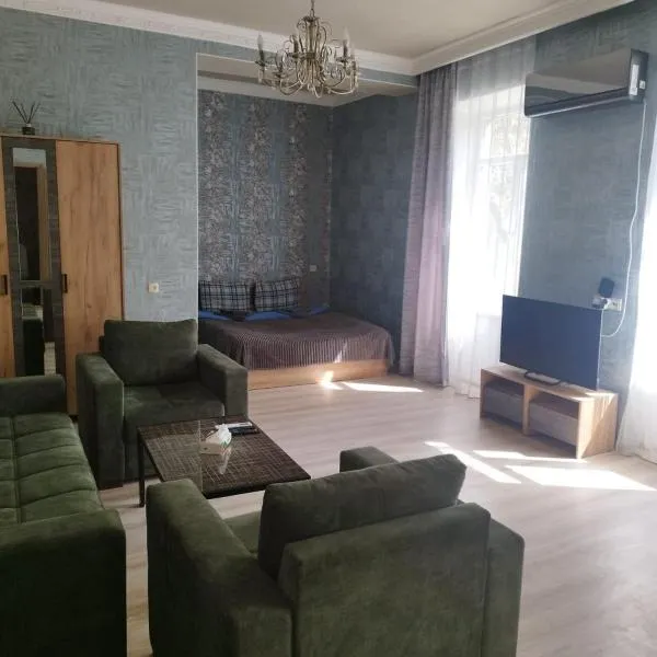 Отличная квартира в центре Ванадзора，位于瓦纳佐尔的酒店