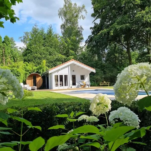 Cozy tiny house with swimming pool & outdoor sauna，位于Waasmunster的酒店