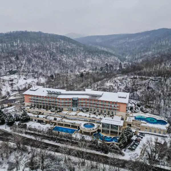 Thermal Hotel Visegrád，位于维谢格拉德的酒店