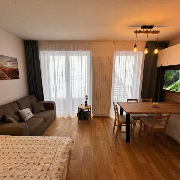 Apartmán 209 - Vlčice Residence，位于派克波特斯耐兹库的酒店