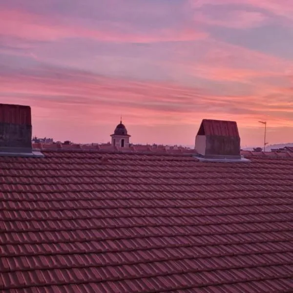 Jolie chambre Privée Centre-Ville，位于尼斯的酒店