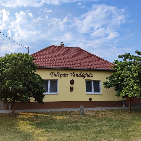 Tulipán Vendégház Harta，位于Harta的酒店