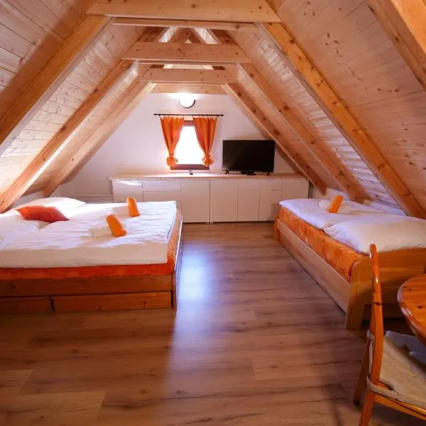 Apartmány 13 Chata，位于塞奇的酒店