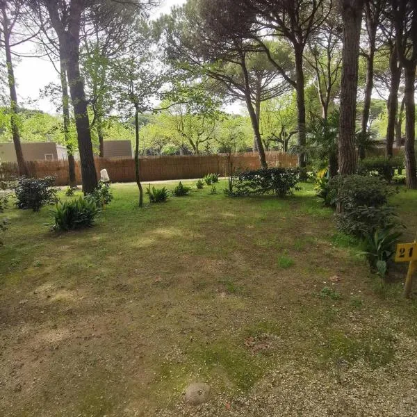 Camping Valdor Camper & Pitch，位于卡瓦利诺的酒店