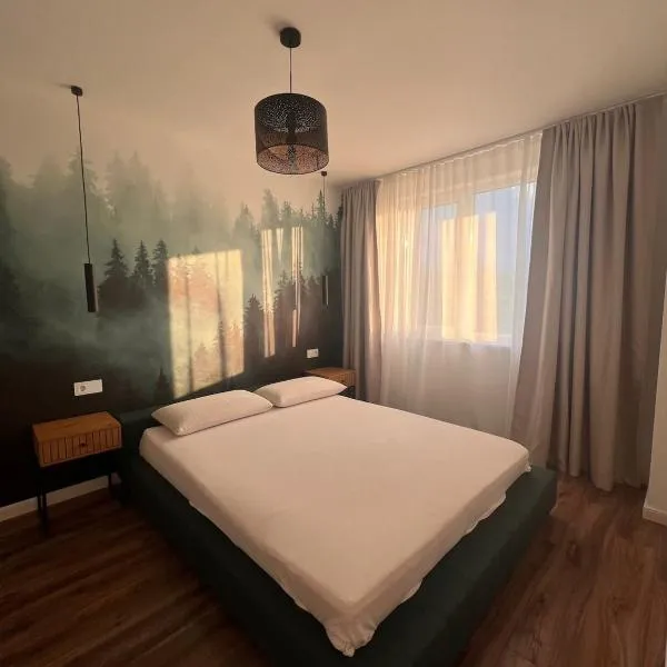 Lily s apartment，位于弗洛雷什蒂的酒店