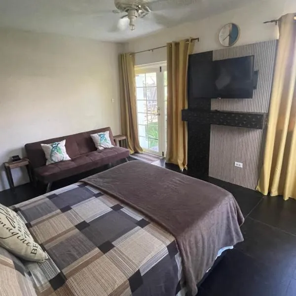 Scarlett Studios 1 - OPTIONAL CAR RENTAL- Select The Premium Rate For 3 Nights Or More To Include Rental-US EMBASSY-America Uni 7 Mins Drive- Lloyd Erskine Centre-Ross Uni 5 Mins Drive - The 1 Night Reservation Includes Airport & US EMBASSY Round Trip，位于布里奇敦的酒店