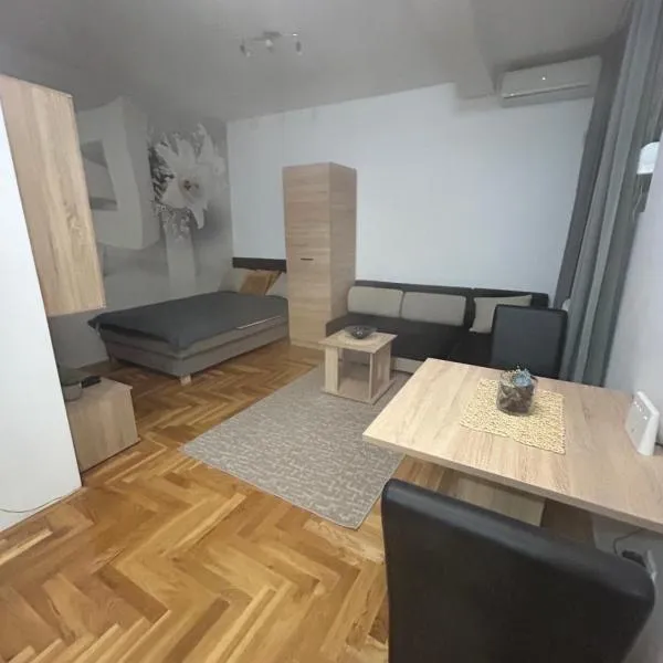 Altina Gottfried Studio，位于Novi Grad的酒店