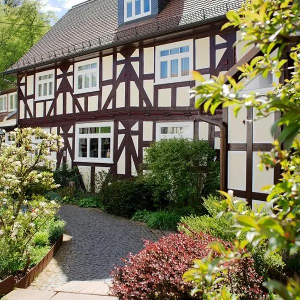 Hotel Dammühle，位于兰河畔马尔堡的酒店