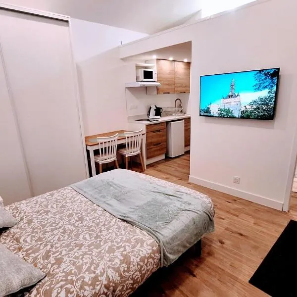 L'extension - Studio indépendant - Secteur Meet，位于Aussonne的酒店