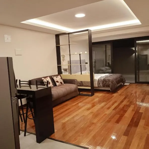 Nuevo departamento de lujo céntrico Zona Obrajes，位于拉巴斯的酒店