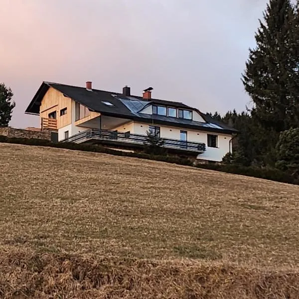 Ferienwohnung Reich，位于Hirschegg Rein的酒店