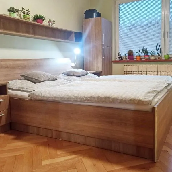 Apartmán na Perunské，位于霍多宁的酒店