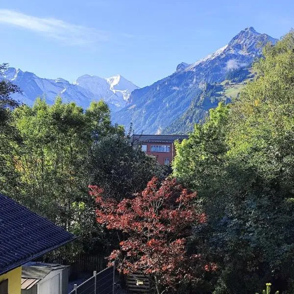1,5 Zimmer Ferienwohnung Lindenmatte Frutigen Berner Oberland，位于弗鲁蒂根的酒店