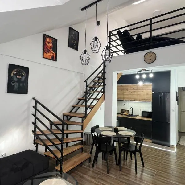 Central Duplex Apartment，位于扎耶查尔的酒店