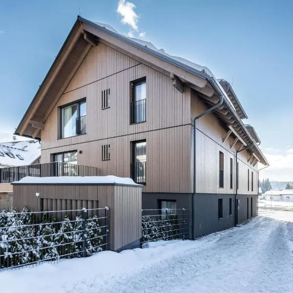 Alpine Suite Spot，位于巴德米滕多夫的酒店
