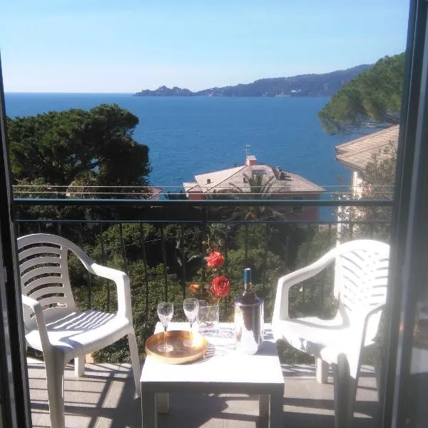 AL MARE DAVANTI A PORTOFINO - BY THE SEA IN FRONT of PORTOFINO，位于佐阿利的酒店